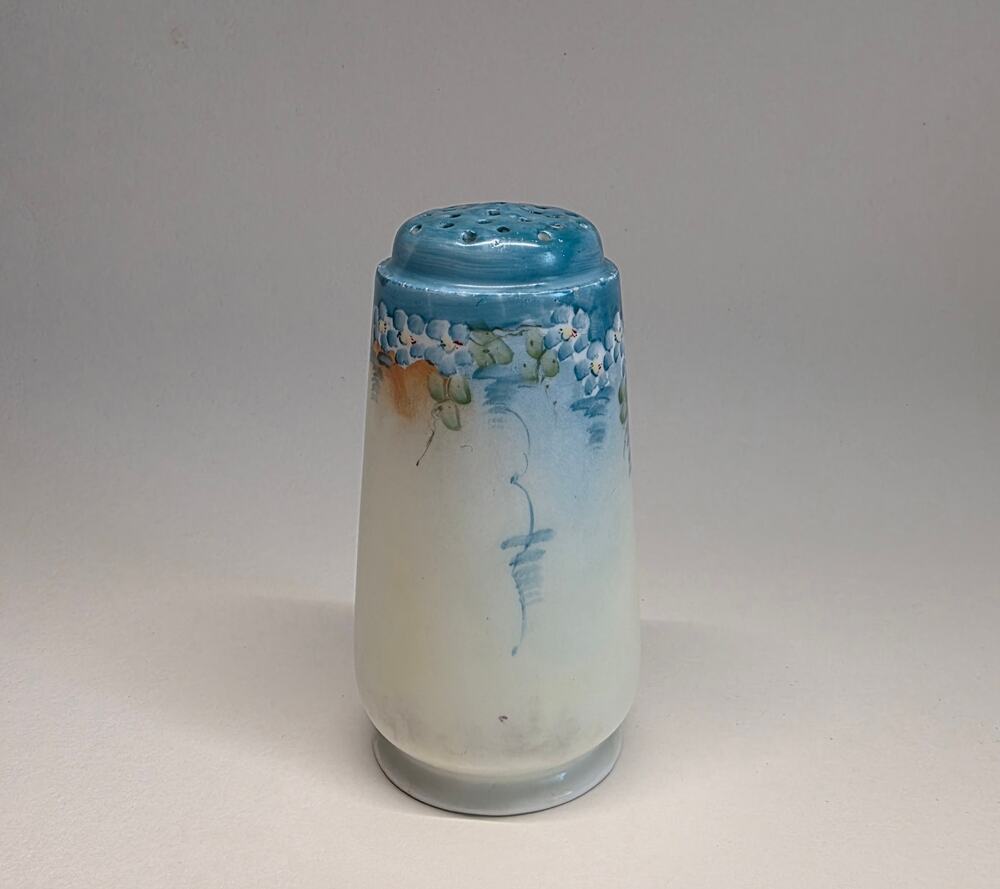Royal Bavaria Germany Hand Painted Floral Salt Pepper Shaker Porcelain VTG